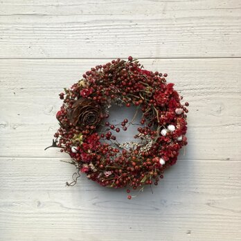 NATURAL COLORの野ばらの実のドライフラワーリース・ちょっぴりプリザーブドフラワー