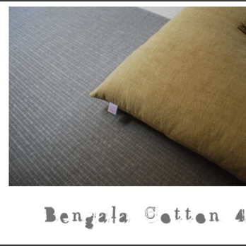 bengala COTTON ＜42＞の画像