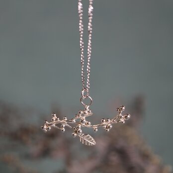 Silver necklace「Light singing voice」