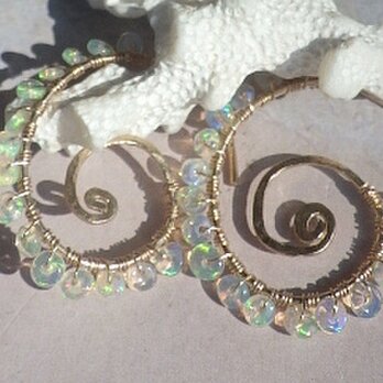 Precious Opal Swirl Earringsの画像