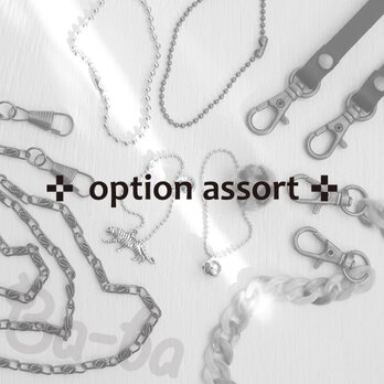 ✜ option assort ✜の画像