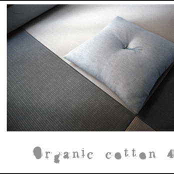 Organic cotton 42の画像