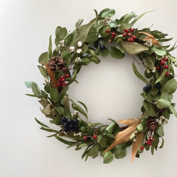 ユーカリと野ばらwinterリース＊L