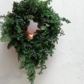 針葉樹のクリスマスwreathの画像
