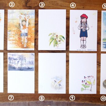 季節のポストカードセット 5枚組の画像