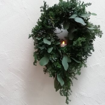 針葉樹とユーカリのクリスマスwreathの画像