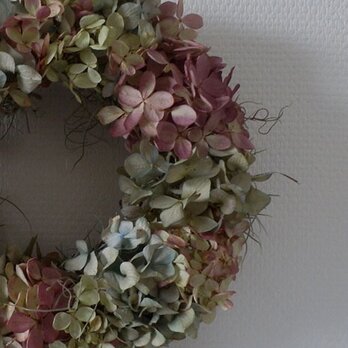 atelierBLUGRA八ヶ岳〜秋の紫陽花Wreathの画像