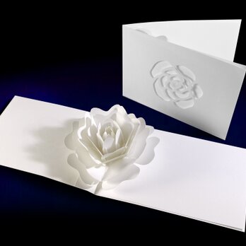 花のポップアップグリーティングカード〈カメリア〉forバースデー・ウェディング・母の日・アニバーサリーの画像