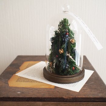 Christmas Tree＊ガラスドームの画像