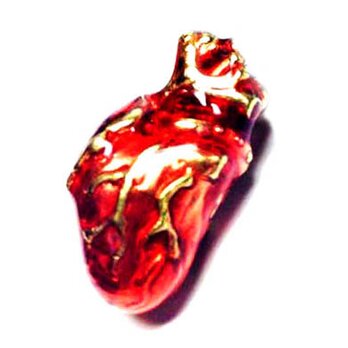 SOLID DESIGN SDr-174r 人体シリーズ ミラグロ心臓ピンズ(Red)の画像