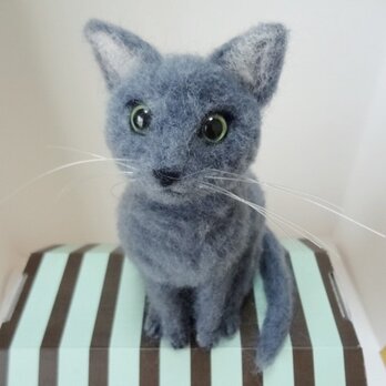 ロシアンブルー 猫 羊毛フェルトの画像