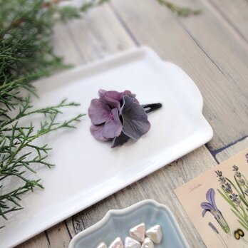スリーピン ■ 濃密に花開く　紫陽花 ■ #111　グレイラベンダーの画像