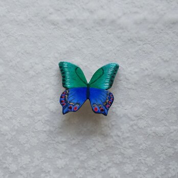 蝶々（ミヤマアゲハの仲間　１）の画像
