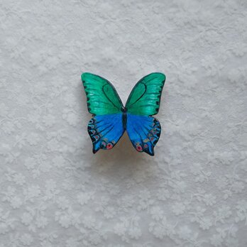 蝶々（ミヤマアゲハの仲間　２）の画像