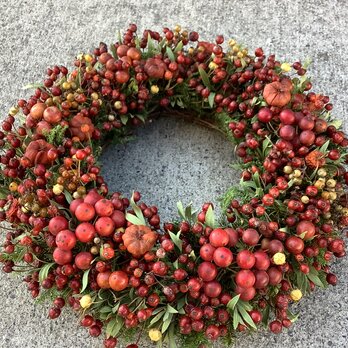 八ヶ岳〜ノイバラの実とサンキライWreath001の画像