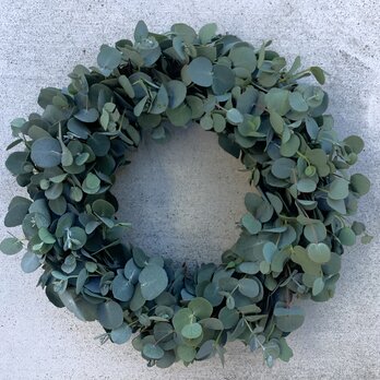 atelierBLUGRA八ヶ岳〜フレッシュユーカリのWreath26