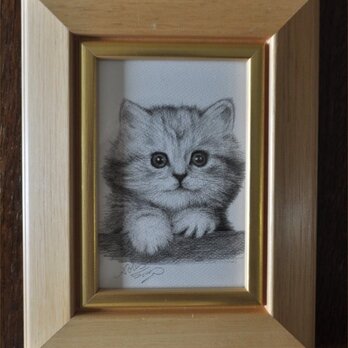 かわいい子猫の細密画の画像