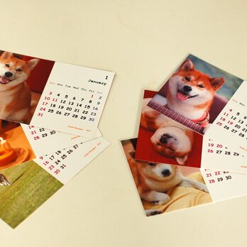 カレンダー2021（柴犬）の画像