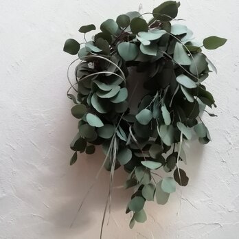 wreath-ユーカリとレモングラス（61cm)の画像