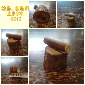 小型の幼鳥、老鳥用の止まり木（TOY-17-008) S212の画像