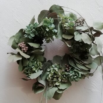 wreath=紫陽花とユーカリ（Lsize)の画像