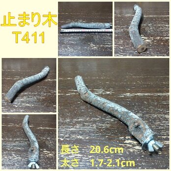 止まり木（枝：TOY-08-015）T411の画像