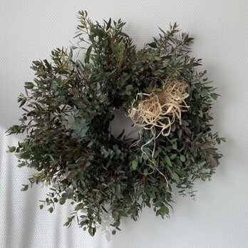 atelierBLUGRA八ヶ岳〜フレッシュユーカリのWreath50の画像