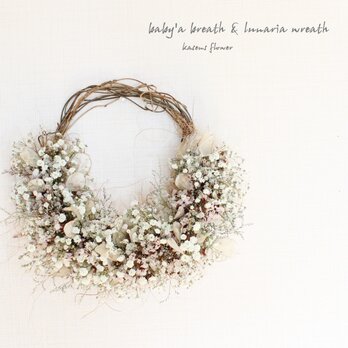 ＊受注製作＊「花筵」half wreath 　  かすみ草とルナリアのハーフリース　桜　　ドライフラワーリース　の画像