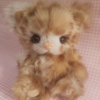 ふわふわぬいぐるみ☆子猫☆Baby cat*の画像