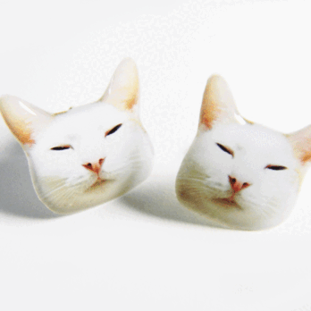 ネコのピアス