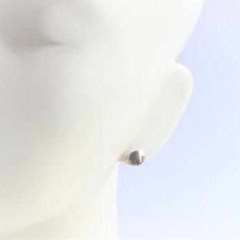 Petal Earringsの画像