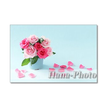 1439)  ホットピンクのバラのデザイン　   ポストカード5枚組の画像