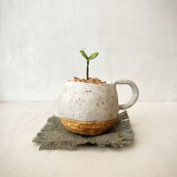 5416.bud 粘土の鉢植え マグカップの画像
