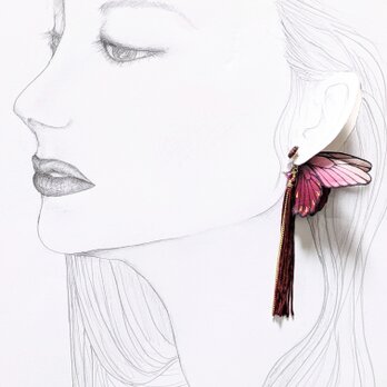 【新作タイプ】蝶のピアスの画像