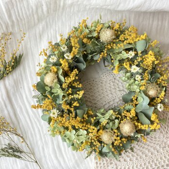 【受注制作】春の息吹c〜ふんわりミモザリース20〜