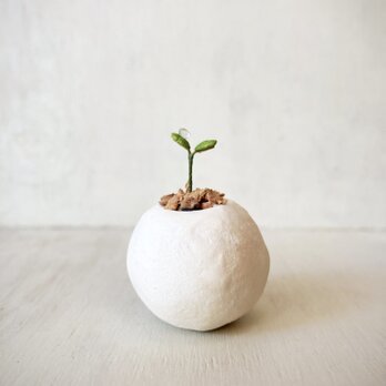 5445.bud 粘土の鉢植え