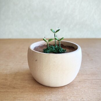 5449.bud 粘土の鉢植え 〜木から