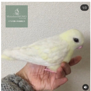 受注制作☆羊毛フェルトのサザナミインコの画像