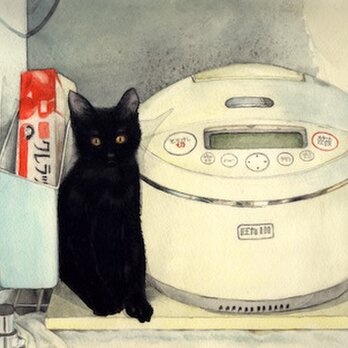 猫と炊飯器（額装）の画像