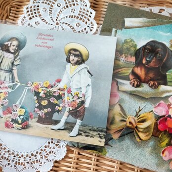 ドイツ製ポストカード【Germay】2枚セット（花の贈り物／野ばらとダックスフント）の画像
