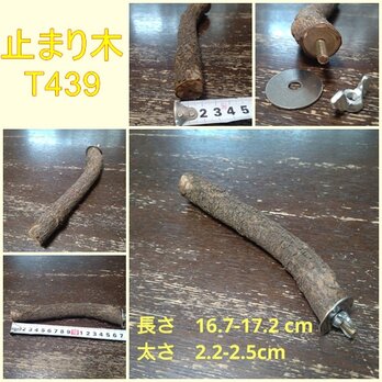 止まり木（枝：TOY-08-015）T439の画像
