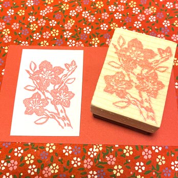 ✿早春の花はんこ✿【桃の花B】3.5×4.5㎝の画像