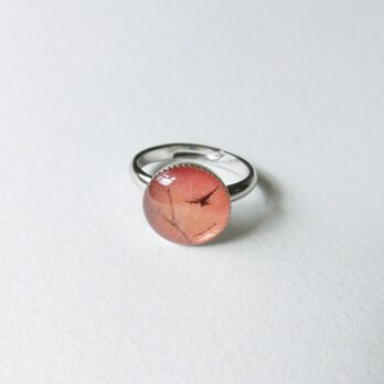 〈order〉ゆびわ/夕焼け