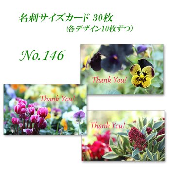 No.146 かわいい春の花   名刺サイズカード　30枚の画像