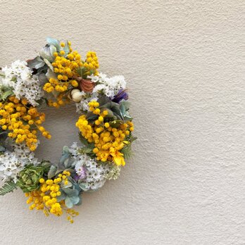 手のひらサイズの春を告げるリース　ミモザと白いお花の画像