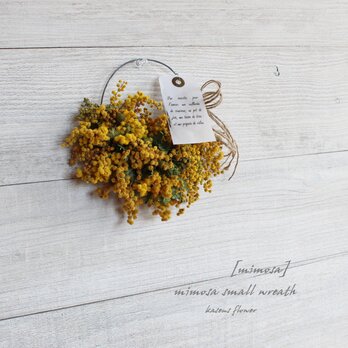 「mimosa」small wreath　ミモザの小さなワイヤーリース　春リース　ドライフラワーリース　の画像