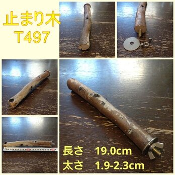 止まり木（枝：TOY-08-015）T497の画像