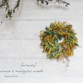 「mimosa」wreath　ミモザとユーカリのリース【２４センチ】　　春リース　　ドライフラワーリース　の画像