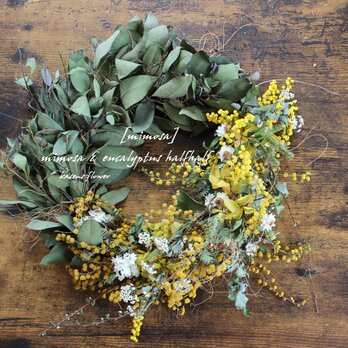 「mimosa」half & half wreath　ミモザとユーカリのハーフあんどハーフリース　ドライフラワーリース　の画像