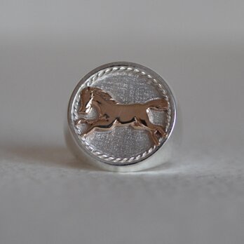 Signet Ring Horseの画像